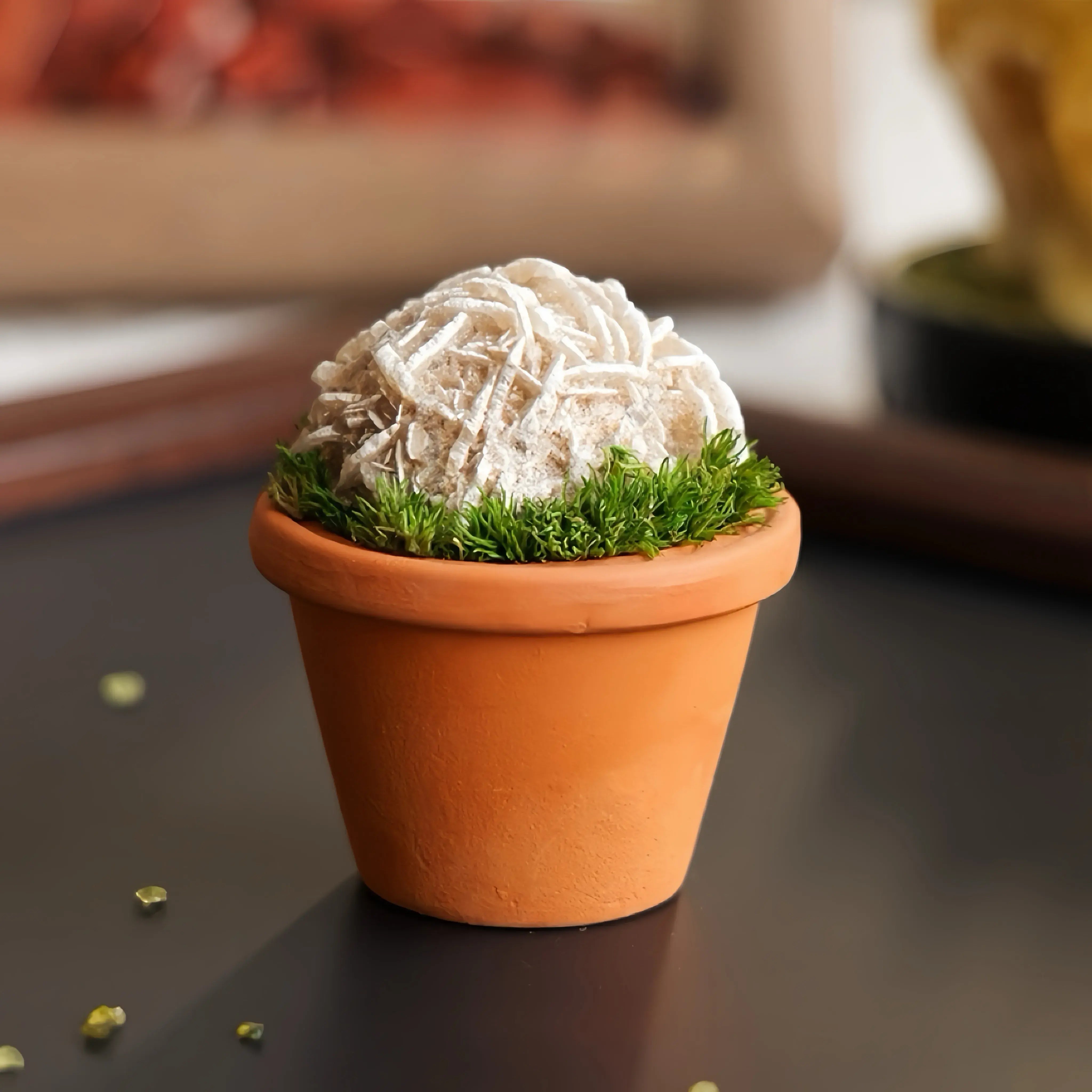 Mini Desert Rose Cluster Plant – Handmade Spiritual Gift & Desk Decor